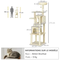 PawHut Arbre à chat arbre à grimper griffoir hauteur 171 cm avec 2 niches 6 plateformes 2 pompons suspendus beige(m-3)