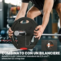 SPORTNOW Kit Pesi con 2 Dischi da 10 kg e 2 Dischi da 5 kg in Polipropilene e Sabbia, Ø34x6 cm e Ø27x4.5 cm, Nero(m-5)