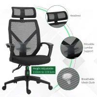 Vinsetto High Back Home Mesh Office Chair Swivel Reclining w/ Lumbar Support Height Adjustable Free Moving Suitable For Working Relaxing Black(m-5)