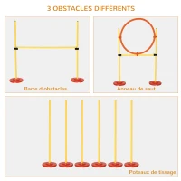 PawHut Agility sport pour chiens équipement complet haies, slalom + sac de transport jaune(m-4)