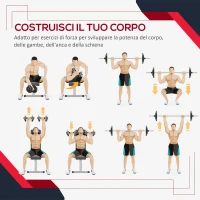 HOMCOM Set di 4 Dischi Pesi per Bilanciere e Manubri Peso Totale 30kg, 2x5kg e 2x10kg, Nero(m-7)