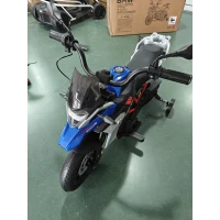 AIYAPLAY Moto électrique pour enfants 3-8 ans 12V Licence BMW G310 GS, Batterie lithium, Roulettes amovibles, Bleu(m-4)