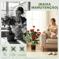 HOMCOM Planta Artificial de Camélia 65 cm com Flores Realistas de Seda 116 Folhas e Efeito de Musgo Vermelho(m-5)