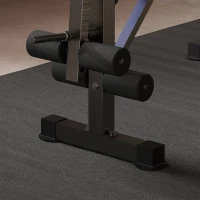 HOMCOM Banco de Musculação com Encosto Ajustável e Suporte para Barras Regulável para Treino em Casa Ginásio 175x139x127 cm Preto e Azul(m-8)