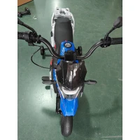 AIYAPLAY Moto électrique pour enfants 3-8 ans 12V Licence BMW G310 GS, Batterie lithium, Roulettes amovibles, Bleu(m-3)