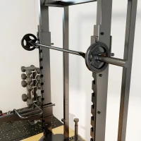 SPORTNOW Disques de Poids en Acier 10 kg, Finition PVC, Plaques de Poids 2 x 5 kg, 3 Poignées, Trous de Ø 50 mm, Noir(m-8)