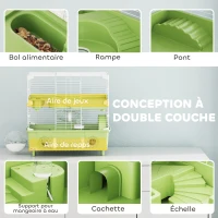 PawHut Cage pour hamster  à 2 niveaux avec roue de course salle de bain en sable pour hamster nain 44,5 x 28 x 44 cm vert(m-4)