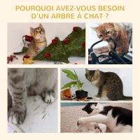 PawHut Arbre à chat du sol au plafond, tour à chat réglable en hauteur de 240-260 cm à plusieurs niveaux, gris clair(m-7)