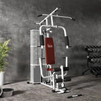 HOMCOM Stație de Fitness Multifuncțională pentru Acasă și Sală, cu 4 Perne din Oțel și PU, 150x110x210 cm, Alb(m-8)