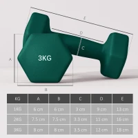 SPORTNOW Set de 6 gantere (2x1 kg, 2x2 kg, 2x3 kg) de 12 kg, cu suport/Kettlebell, din metal și plastic, multicolor(m-3)