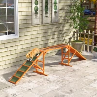 PawHut Agility Hunderampe, Parcours, rutschfest, wetterfest, Holz, 335 x 55 x 60 cm, Orange(m-10)