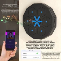 SPORTNOW Mașină de box muzicală montată pe perete, cu conexiune Bluetooth și lumini albastre, 40x40 cm, negru(m-4)