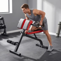 SPORTNOW Halterbank, multifunctionele trainingsbank, opvouwbare fitnessbank, belastbaar tot 300 kg, staal, zwart(m-9)