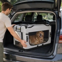 PawHut Pet Carrier Bag, Soft-Sided Dog Carrier with Security Buckle Strap, Washable Cushion and Folded Bowl, Light Grey(m-14)