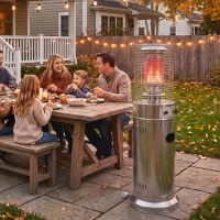 Outsunny Gas Patio Heater, 13 kW Stainless Steel Portable Propane Outdoor Heater with Pulse Ignition, Tip-over Protection, Silver(m-14)