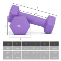 SPORTNOW Hantelset mit Aufbewahrungsgestell, Set mit 6 Hanteln für Fitness-Training, 2 x 1kg, 2 x 2kg, 2 x 3kg(m-4)