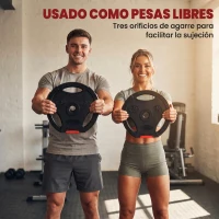 SPORTNOW Juego de Discos Pesas de 4 Piezas 2x5 kg 2x2,5 kg con Orificios de 2,5 cm para Entrenamiento Fitness en Hogar Negro(m-4)