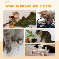 PawHut Kattenlooprad, 91 cm met Rem en Krabmat, voor Actieve en Gezonde Kattenbeweging, Grijs(m-8)