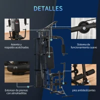 HOMCOM Máquina de Musculación con Estribo para Piernas Placas de Peso de 45 kg Carga Máx. 120 kg 150x110x210 cm Negro(m-4)