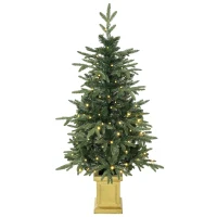 HOMCOM Kunstkerstboom 120 cm met 110 leds, 147 takpunten, 2 lichtkleuren en afstandsbediening(m-1)