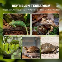 PawHut Glazen Terrarium voor Reptielen, verhoogde & waterdichte bodem, knopslot(m-4)
