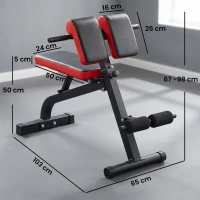 SPORTNOW Roman Chair Hyperextension Bank & Hantelbank Klappbar Trainingsbank, Multifunktion Fitnessbank bis 300 kg(m-3)
