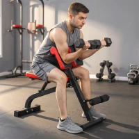 SPORTNOW Halterbank, multifunctionele trainingsbank, opvouwbare fitnessbank, belastbaar tot 300 kg, staal, zwart(m-2)