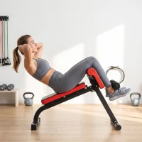 SPORTNOW Foldable Weight Bench - Multi-Functional Gym Bench Roman Chair for Bicep Curl, Hyper Back Extension, Push Up, and Full Body Weight Training Workout(m-12)