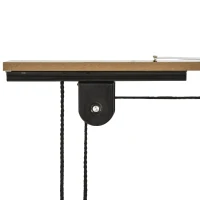 HOMCOM 2 Pares de Elevador para Bicicletas en el Techo Mediante Poleas Cuerdas Ganchos con Altura Ajustable Soporte para Bici al Techo Carga 20 kg Acero Negro(m-8)