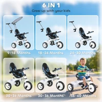 HOMCOM 6 in 1 Tricycle for Kids with 5-point harness straps, Removable Canopy, Blue(m-4)