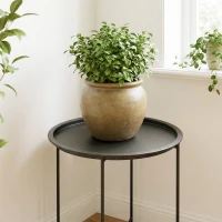 Outsunny Petite table basse ronde table d'appoint plateau amovible avec bord relevé pieds pliables en acier Ø 46 x 53 cm noir(m-11)