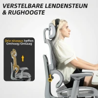 HOMCOM Bureaustoel, ergonomische bureaustoel met mesh-bekleding, verstelbaar, verrijdbaar, met armleuningen, hoofdsteun, grijs(m-8)