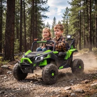 AIYAPLAY 24V 2 Seater Ride On Truck Car for Big Kids with Remote Control, Dual Motors, 4-Wheel Suspension for Ages 3-8, Green(m-2)