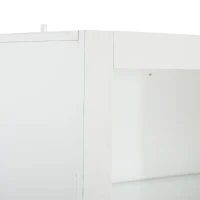 High-Gloss Display Cabinet with Bluetooth-Controlled LED Lighting, Tall Storage Cabinet for Living Room and Playroom, 100L x 35W x 170H cm, White(m-11)