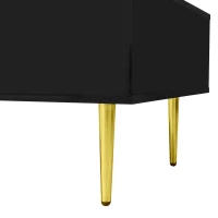 High-Gloss Coffee Table with Two Drawers and 19.5 cm Clearance, Modern Center Table for Living Room, 100L x 60W x 41.5H cm, Black+Gold(m-10)