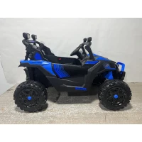 AIYAPLAY Kinder Elektroauto 24V 2 Sitzer Kinderauto UTV mit Lithium-Akku 2,4 GHz Fernbedienung 2 x 120W Motoren Softstart(m-10)