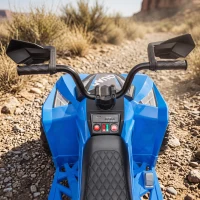 AIYAPLAY Quad Eléctrico Niños 24V 2 Plazas 2 Motores 120 W Batería de Litio Suspensión Arranque Suave 4-6 km/h 3-8 Años Azul(m-11)