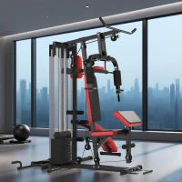 SPORTNOW Multi Gym Workout Station, Weight Machine with 65kg Weight Stack, Sit Up Bench, Push Up Stand, Dip Station(m-9)