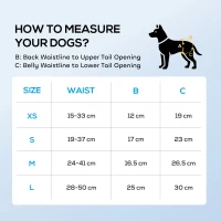 PawHut Disposable Dog Diapers Female for S Dogs Incontinence or Excitable Urination and Training 48 Count(m-4)