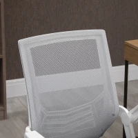 Vinsetto Silla de Oficina Ergonómica Silla de Malla con Altura Ajustable Reposabrazos Abatible Soporte Lumbar Transpirable 62,5x55x94-104 cm Gris(m-13)