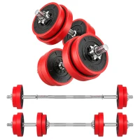 HOMCOM Haltères de 20 kg ensemble d'haltères musculation réglable avec barre d'extension pour entraînement musculaire et haltérophilie(m-11)
