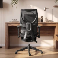 HOMCOM Ergonomic Office Chair with Lumbar Support, Mesh Reclining Desk Chair with Footrest, Adjustable High Back, Black(m-9)
