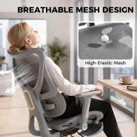 HOMCOM Ergonomic Office Chair with Lumbar Support, Mesh Reclining Desk Chair with Footrest, Adjustable High Back, Grey(m-7)