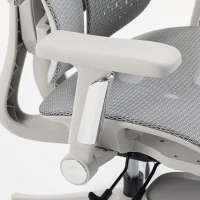 HOMCOM Ergonomic Office Chair with Lumbar Support, Mesh Reclining Desk Chair with Footrest, Adjustable High Back, Grey(m-10)