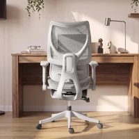 HOMCOM Ergonomic Office Chair with Lumbar Support, Mesh Reclining Desk Chair with Footrest, Adjustable High Back, Grey(m-9)