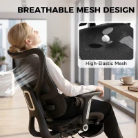 HOMCOM Ergonomic Office Chair with Lumbar Support, Mesh Reclining Desk Chair with Footrest, Adjustable High Back, Black(m-7)
