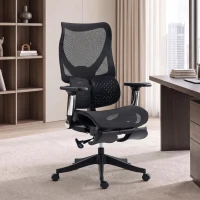HOMCOM Ergonomic Office Chair with Lumbar Support, Mesh Reclining Desk Chair with Footrest, Adjustable High Back, Black(m-14)