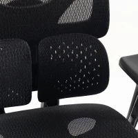 HOMCOM Ergonomic Office Chair with Lumbar Support, Mesh Reclining Desk Chair with Footrest, Adjustable High Back, Black(m-11)