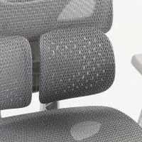HOMCOM Ergonomic Office Chair with Lumbar Support, Mesh Reclining Desk Chair with Footrest, Adjustable High Back, Grey(m-11)