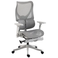 HOMCOM Ergonomic Office Chair with Lumbar Support, Mesh Reclining Desk Chair with Footrest, Adjustable High Back, Grey(m-15)